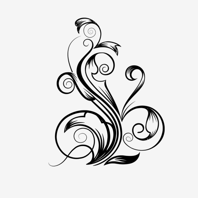 640x640 Hand Drawn Floral Pattern, Valentines Day, Valentine, Rose Png