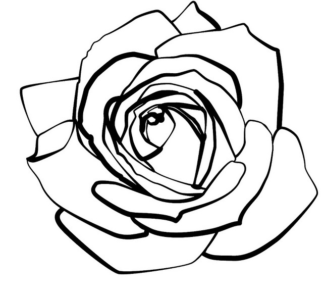 Rose Pattern Drawing | Free download on ClipArtMag