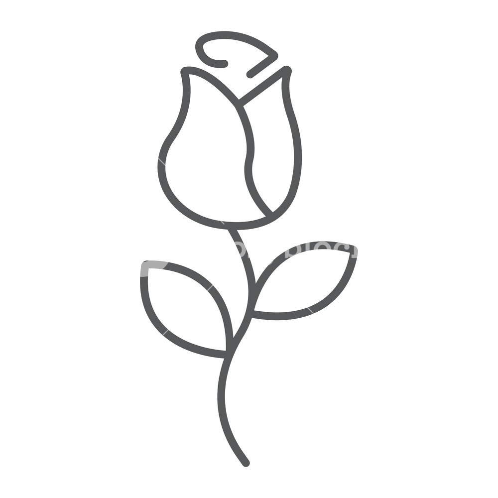 1000x1000 Rose Thin Line Icon, Love And Floral, Flower Sign, Vector Graphics