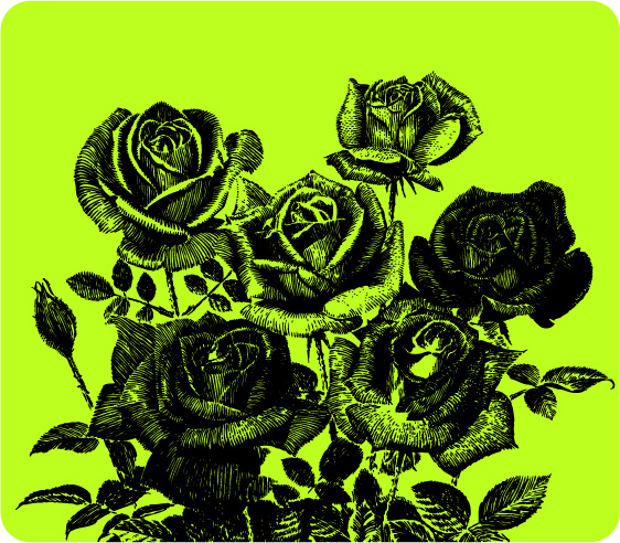 562x492 Pen Drawing Style Roses Vector Material Free Download Web