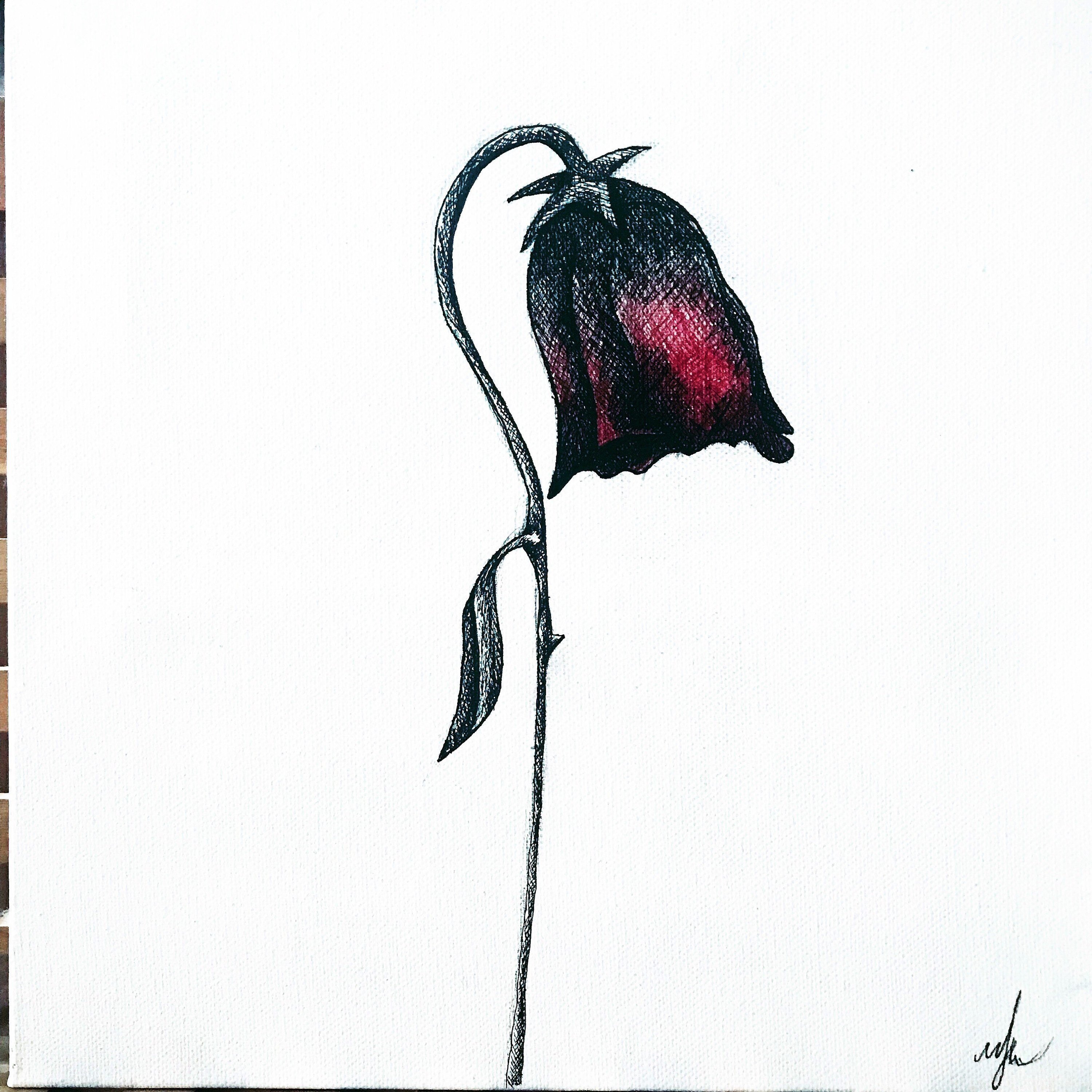 3000x3000 Wilting Rose Original Etsy