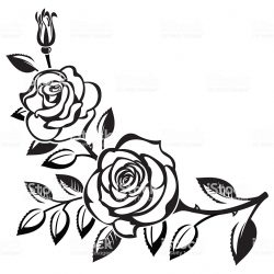 250x250 Black And White Rose Drawing Tumblr Flowers Pencil Step