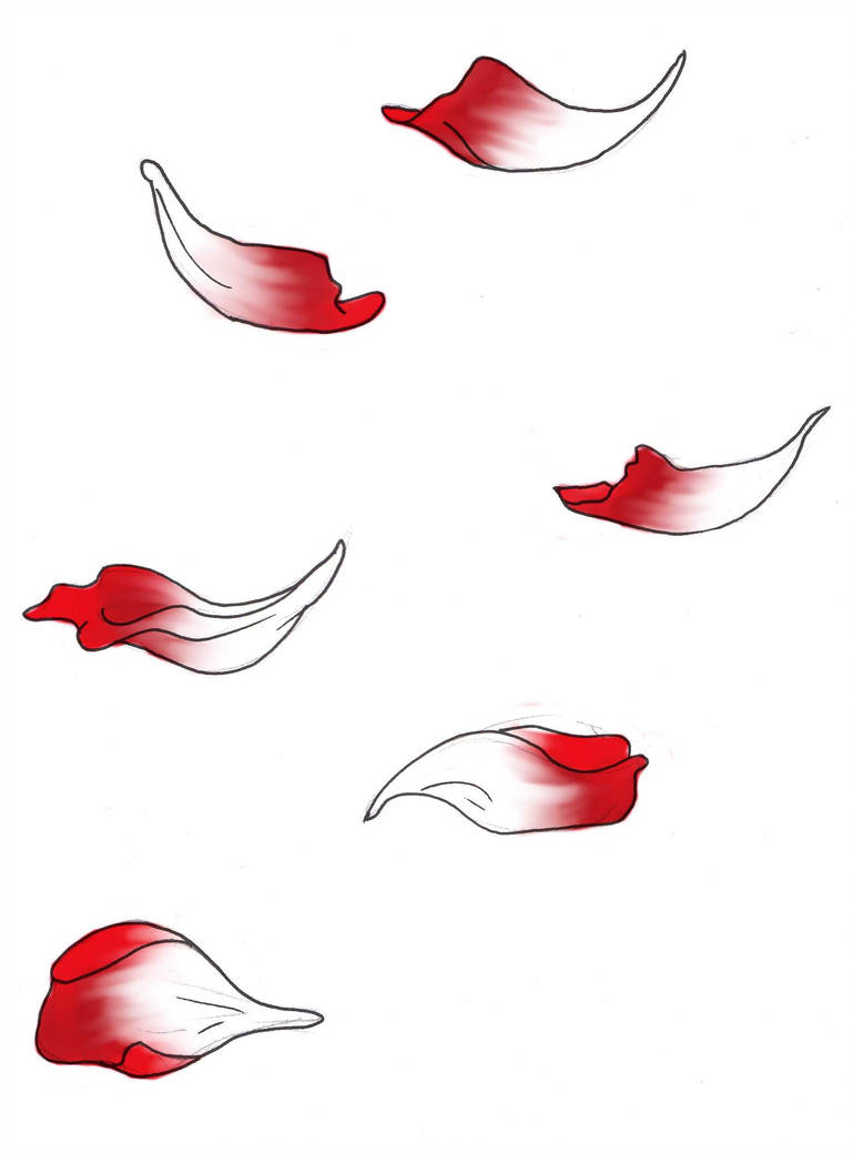 769x1039 Rose Petals
