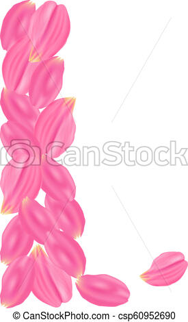 275x470 The Set Pink Rose Petals White Background Vector Illustration