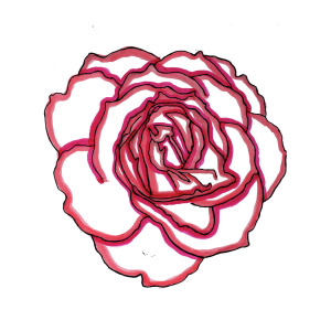 300x300 Red Rose Drawing Drawing