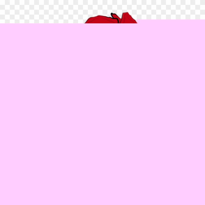 840x842 Rose Drawing