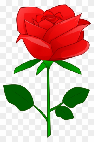 320x479 Rose Drawing Download Flower Garden