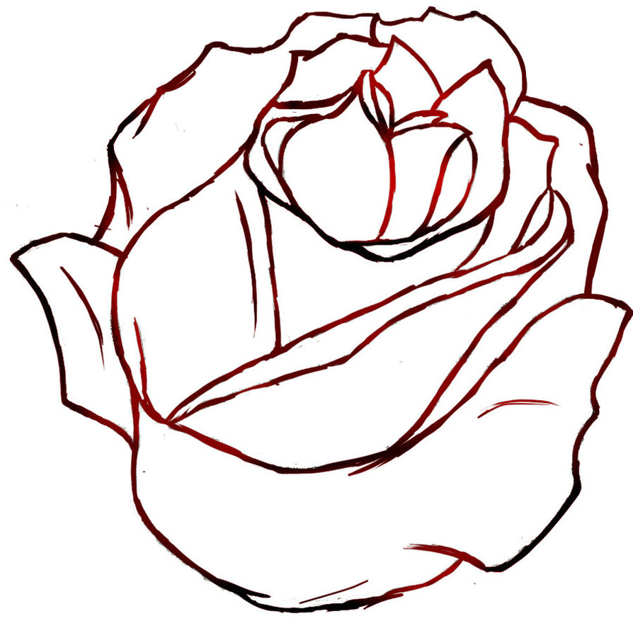 894x894 Rose Drawing Outline Free Download Clip Art