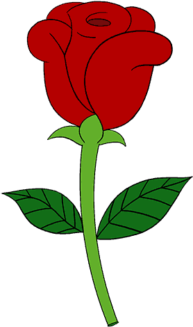 278x470 Rose Drawing Download Free Clipart With A Transparent Background