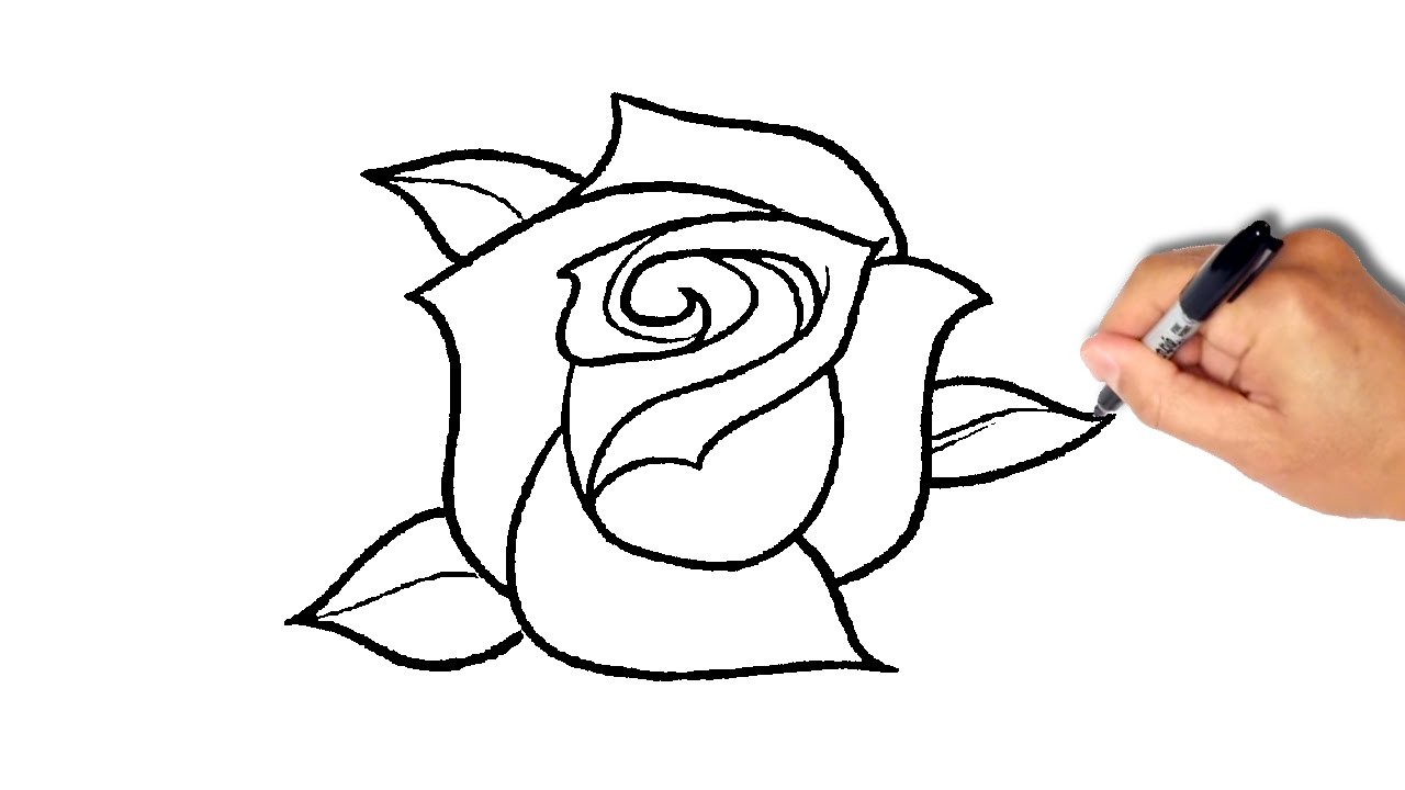 1280x720 Simple Rose Drawing