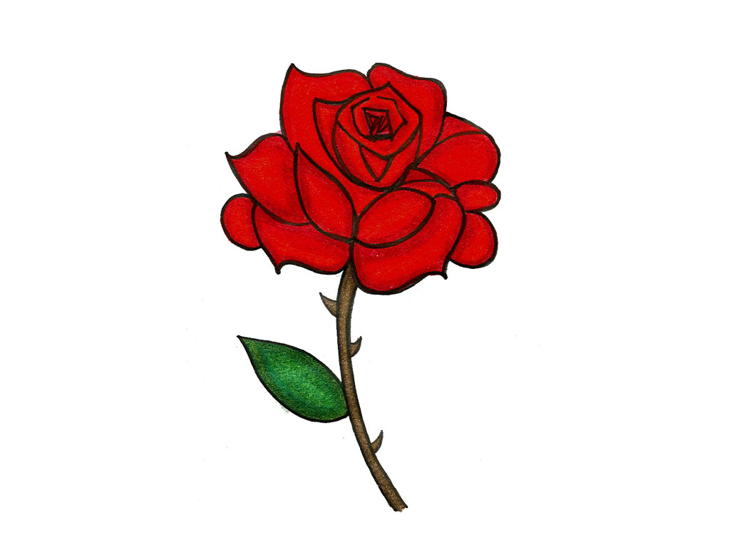 1024x768 Rose Cartoon Cartoon Rose Drawing Pictures Drawings Nocturnal