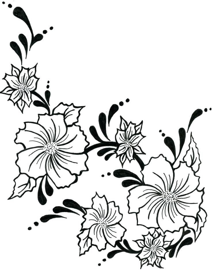 736x938 Drawings Of Vines Step Rose Vines Drawings