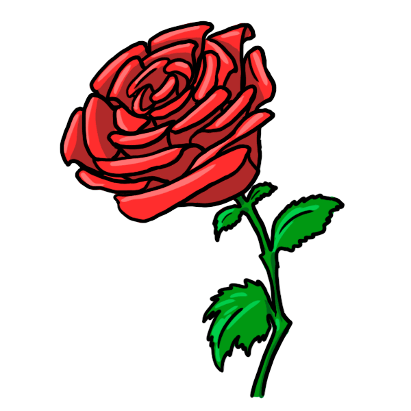 600x600 Petal Drawing Cartoon Rose Transparent Png Clipart Free Download