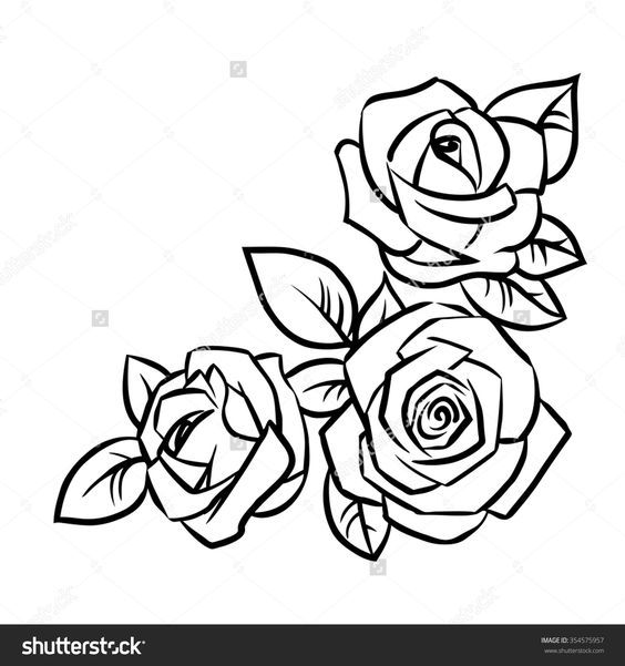 564x601 Simple Rose Outline Drawing