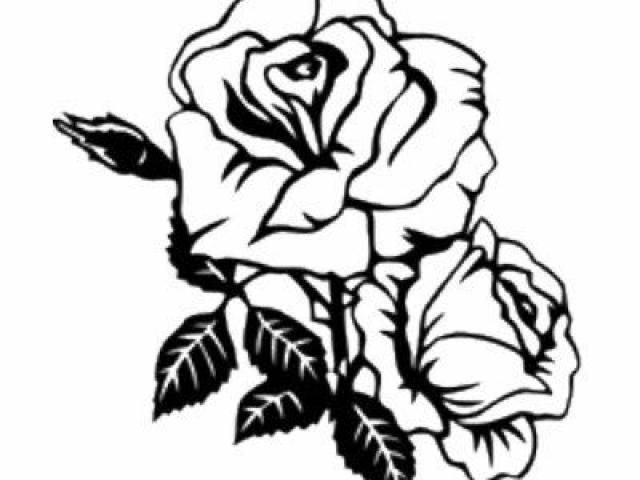 640x480 Rose Tattoo Clipart Drawing