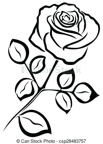 337x470 Roses Tattoo Outline