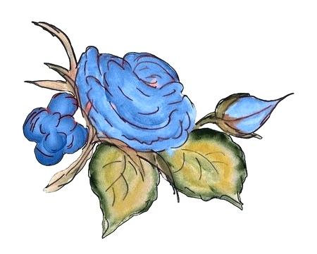 450x361 Blue Rose Drawing The Blue Rose