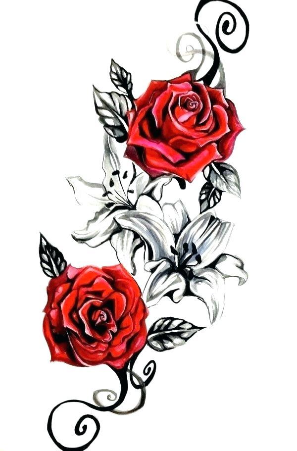 600x911 Rose Flowers Design Drawing
