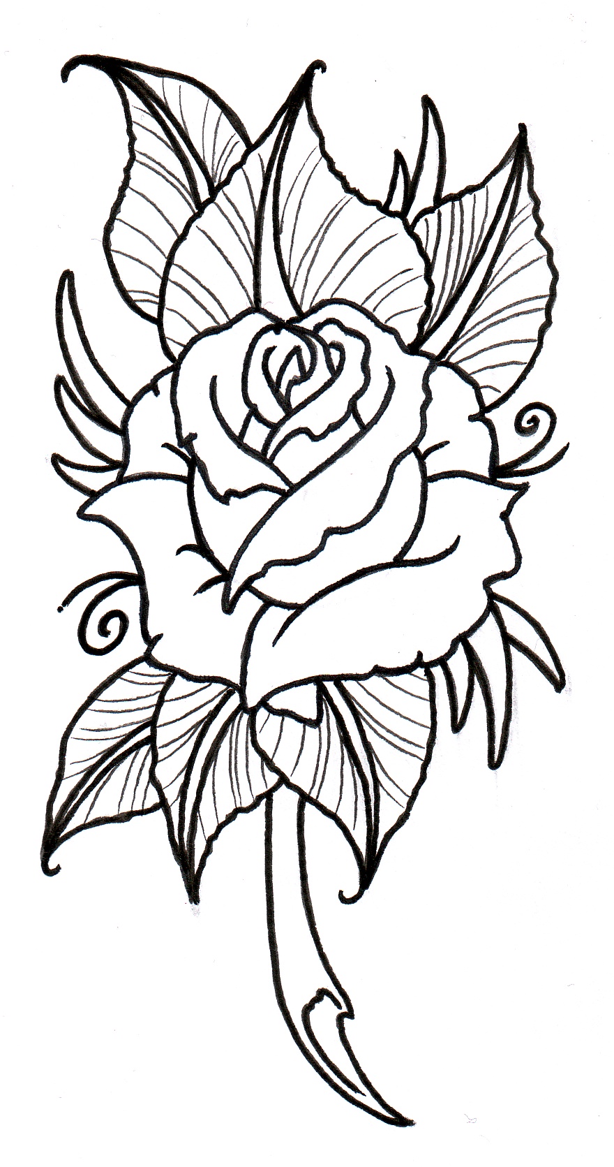 880x1671 Tattoo Designs Clipart Rose
