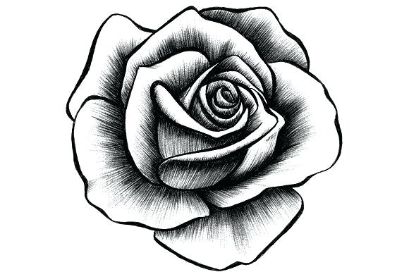 580x386 Ros Drawing Made Recently Rose Tattoo Drawing Tumblr