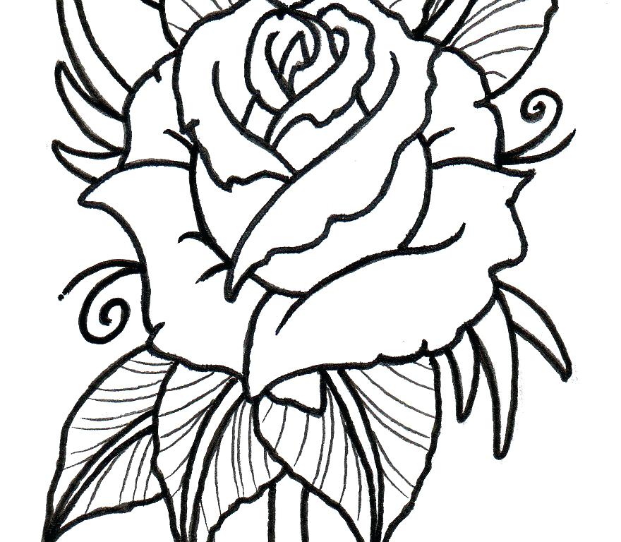 880x768 Roses Tattoo Outline Floral Temporary Tattoos Roses Tattoo Outline