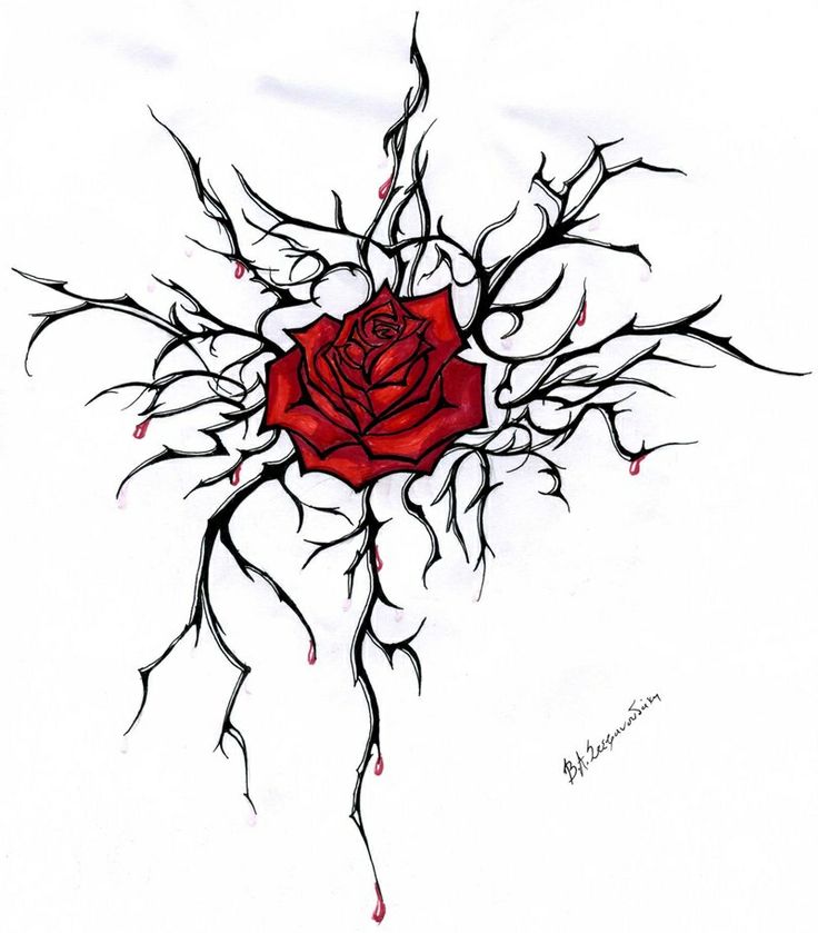 736x839 Roses With Thorns Tumblr Google Search As Googl On Most Popular