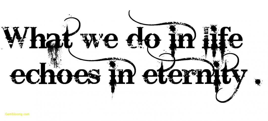 1084x492 Black And White Flowers Line Drawing Rose Border Tumblr Free Step