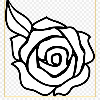 336x336 Black And White Skull Rose Drawing Tattoo Line Flowers Iydunetwork