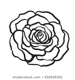 260x280 Huge Collection Of 'rose Flower Line Drawing' Download More Than