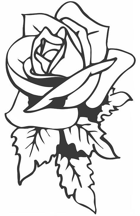 473x726 Rose Vine Drawing Designs