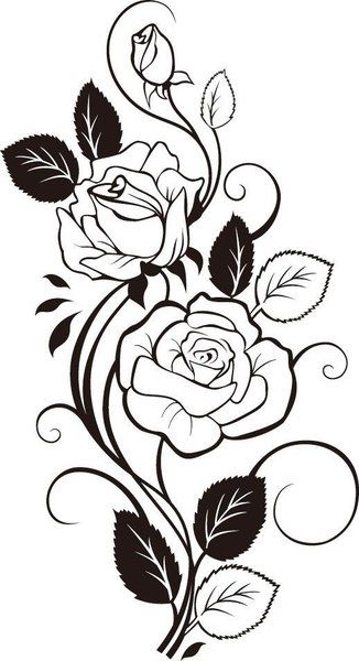326x600 Rose Vine Drawing Vector Art Dxf Free Download