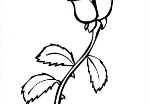 300x210 Small Rose Drawing How To Draw A Small Rose Small Easy Drawings