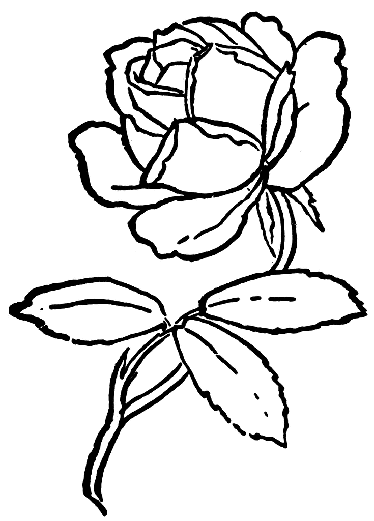 735x1024 Download Rose Clip Art Clipart Stencil Designs Clip Art