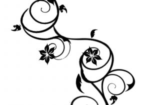 300x210 Drawing Of Vines In Black Drawing Of Vines In Black Rose Vine