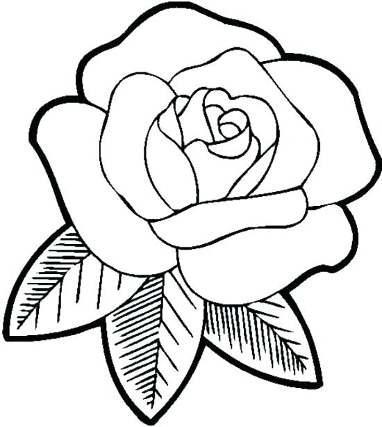 550x614 Rose Coloring Rose Coloring Sheets Rose Window Coloring Pages