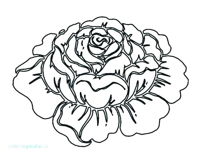 728x546 Coloring Pages Printable Princess Animals Online Nautical Skull