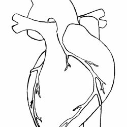 250x250 The Heart Diagram Drawing A Of Broken Dog With Rose Hands