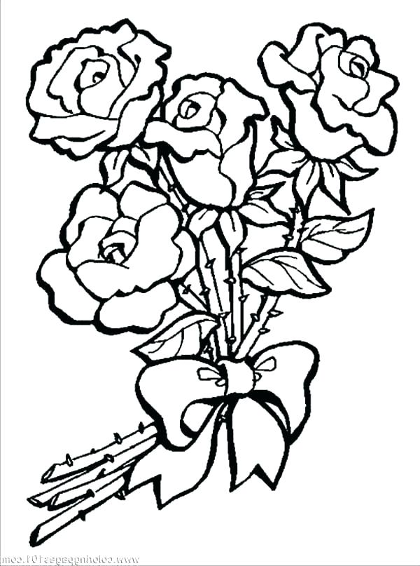 600x807 Roses Coloring Pages