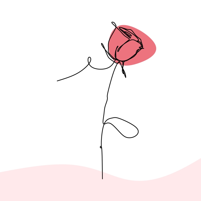 640x640 Single Line Drawing Of Rose Flower Vector Illustration Hand Drawn