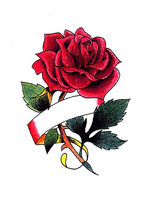 501x649 Drawn Red Rose Ribbon Drawing