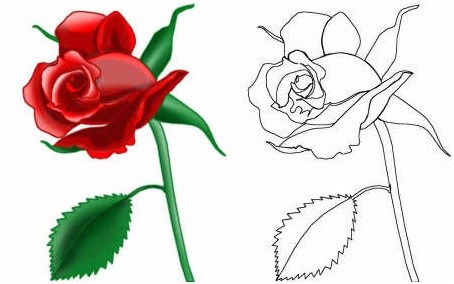 454x284 How To Draw A Rose Einfon