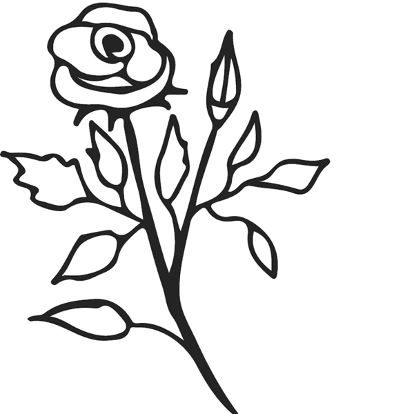 600x600 Stem Drawing Rose Transparent Png Clipart Free Download