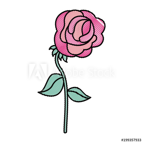 500x500 Flower Rose Stem Leaves Decoration Vector Illustration Drawing