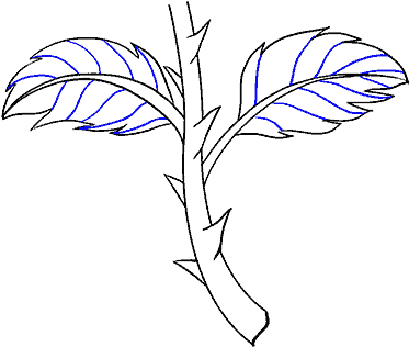 373x316 Download How To Draw Rose With A Stem Png Image With No Background