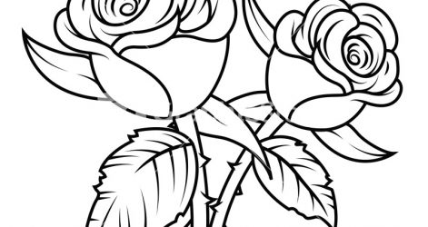 471x250 Drawing Of A Butterfly On Rose With Thorns Pencil And Skull