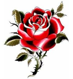 240x260 red rose with thorns tattoos designs rose thorns, red rose
