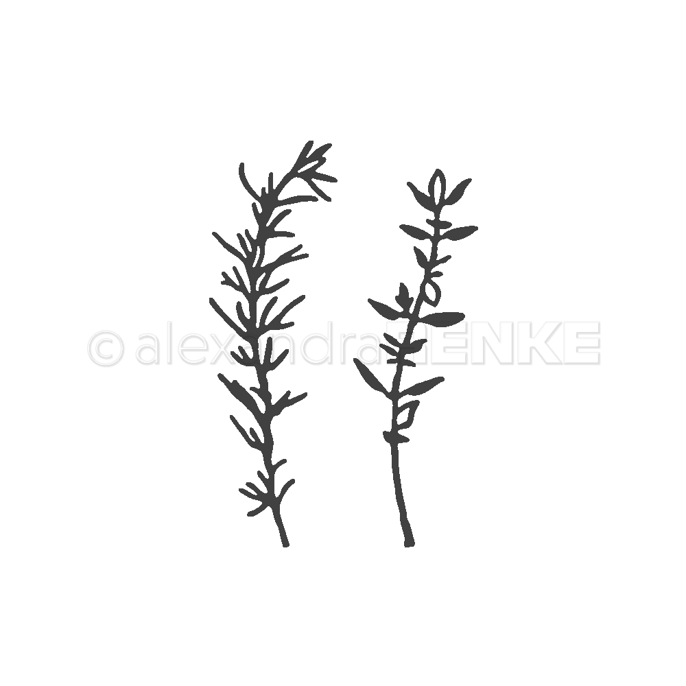 1000x1000 dies 'thyme and rosemary'