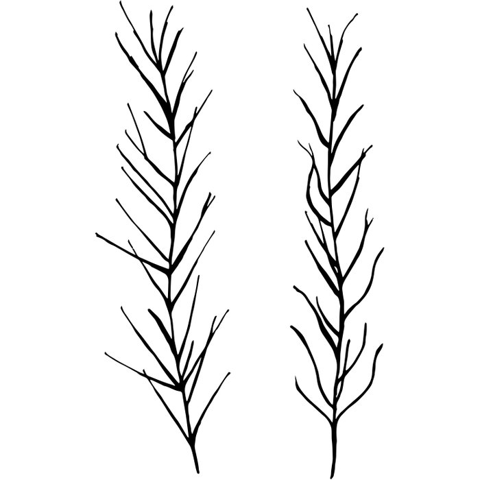 700x700 rosemary comforters