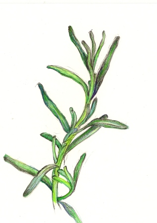 317x448 Garden Playful Bookbinding And Paper Works