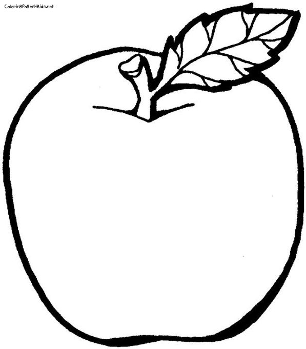 597x681 Huge Collection Of 'apple Fruit Drawing Picture' Download More